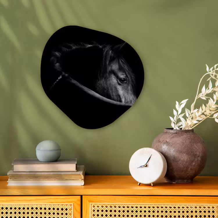 Paarden - Portret - Zwart - Dieren Wandcirkel Organisch Forex 3mm klein -sfeer2