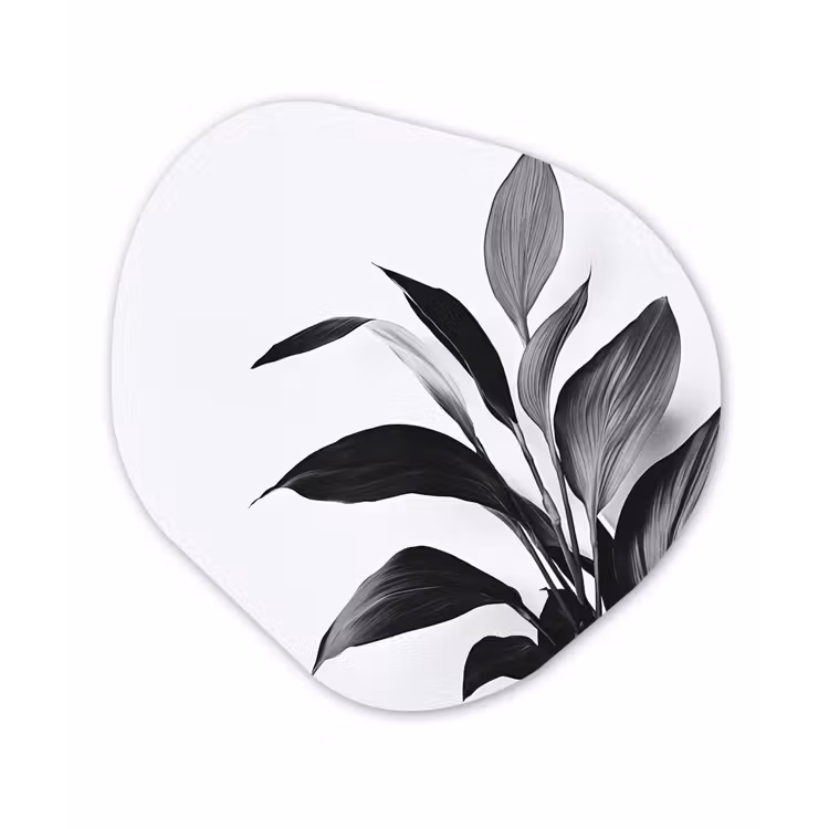 Plant - Bladeren - Minimalistisch - Zwart Wandcirkel Organisch Forex 3mm klein -3d