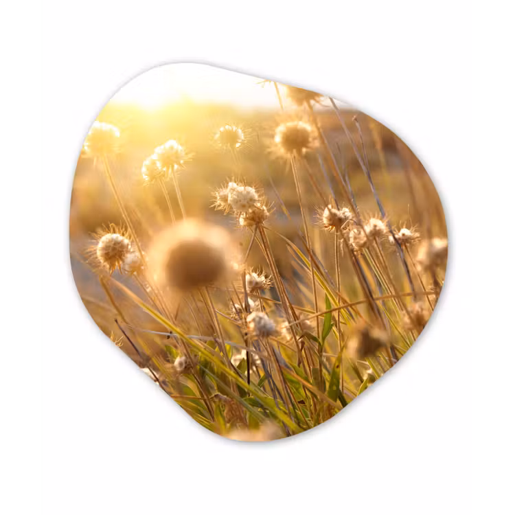 Planten - Natuur - Bloemen - Zon - Horizon Wandcirkel Organisch Forex 3mm klein -3d