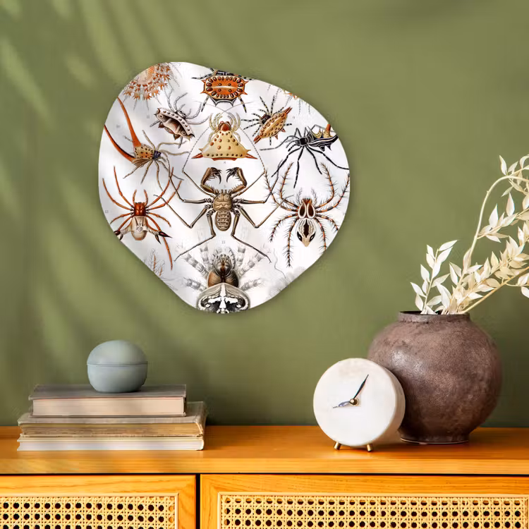 Retro - Spin - Ernst Haeckel - Spinnen Wandcirkel Organisch Forex 3mm klein -sfeer2