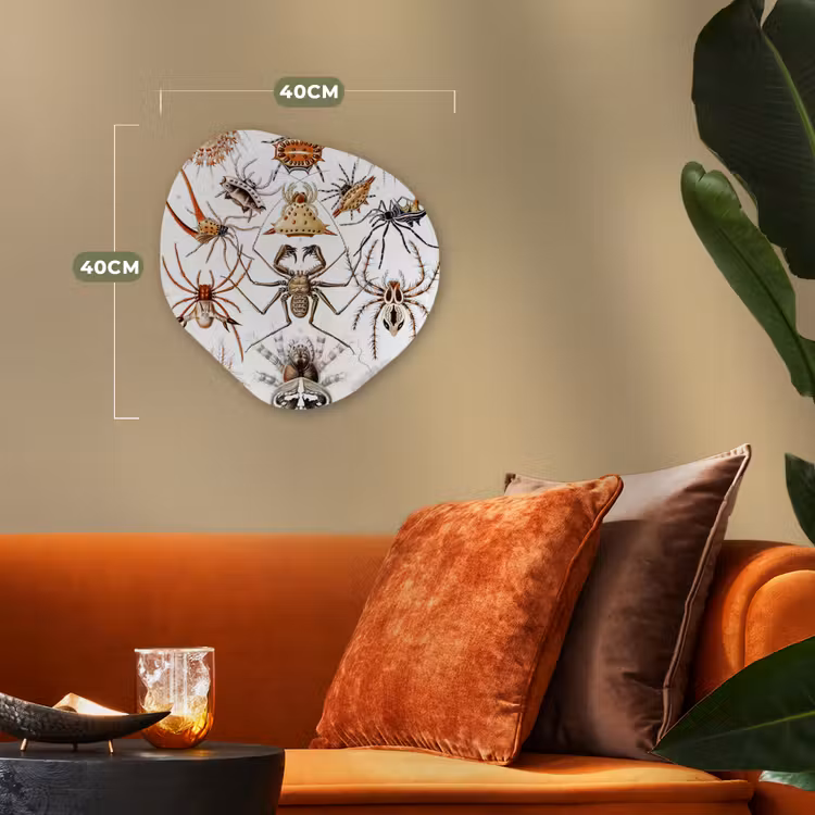 Retro - Spin - Ernst Haeckel - Spinnen Wandcirkel Organisch Forex 3mm klein -sfeer3