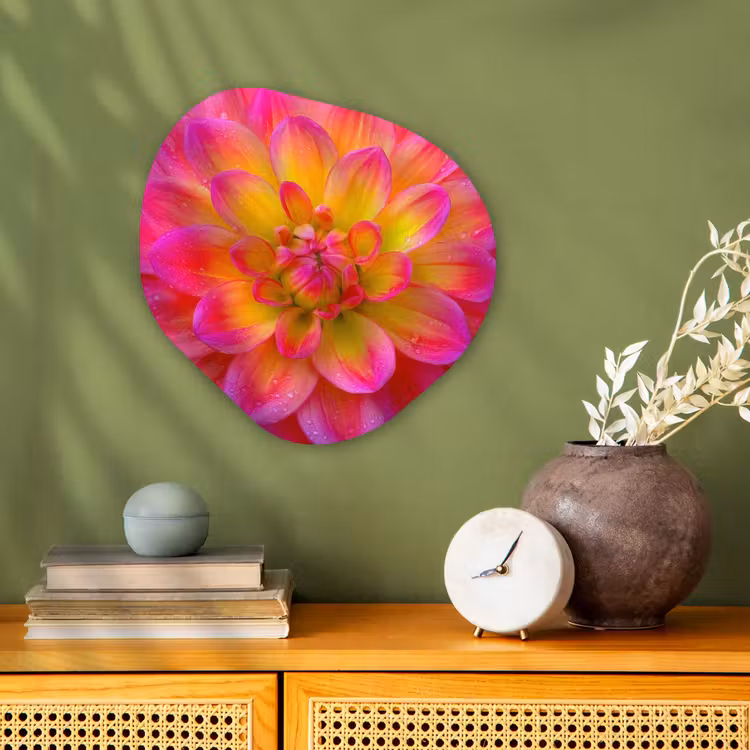 Roze - Dahlia - Kleurrijk Wandcirkel Organisch Forex 3mm klein -sfeer2