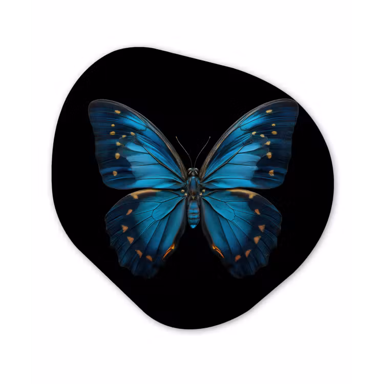 Vlinder - Blauw - Contrast Wandcirkel Organisch Forex 3mm klein -3d