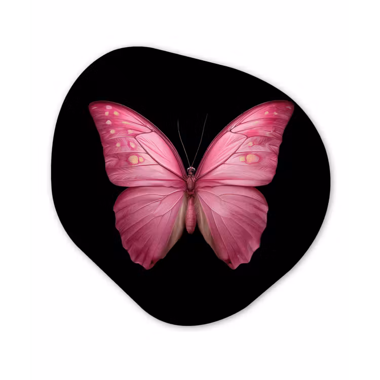 Vlinder - roze - Elegant Wandcirkel Organisch Forex 3mm klein -3d