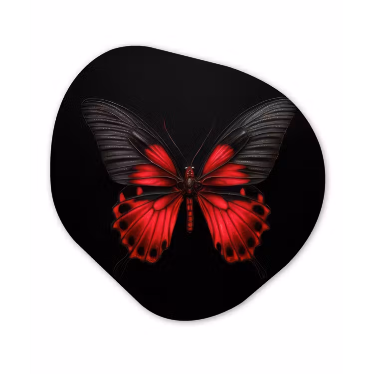 Vlinder - Rood - Contrast Wandcirkel Organisch Forex 3mm klein -3d