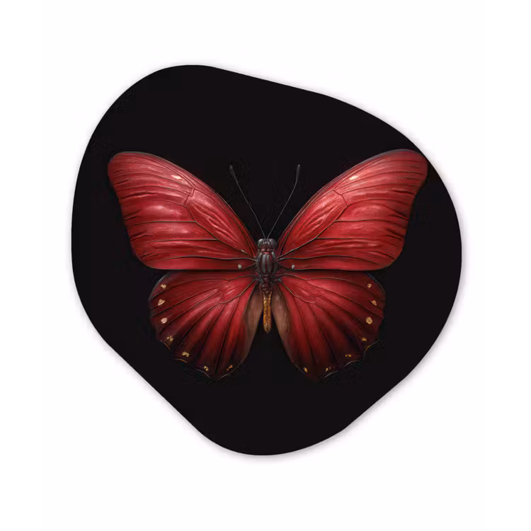 Vlinder - Rood - Minimalistisch Wandcirkel Organisch Forex 3mm klein -3d