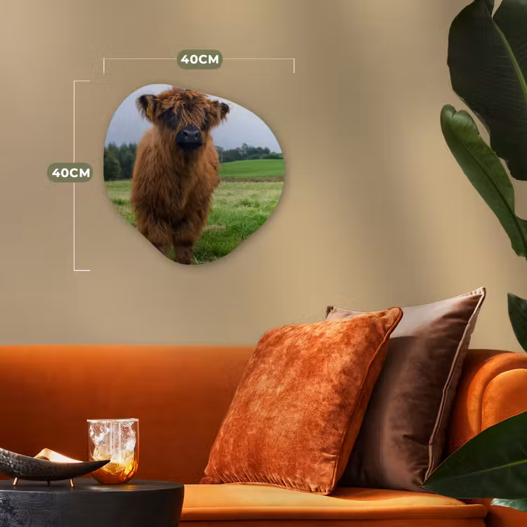 Schotse hooglander - Koeien - Natuur - Groen - Gras Wandcirkel Organisch Forex 3mm klein -sfeer3