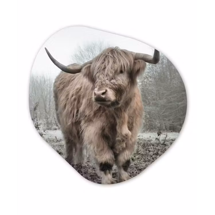 Schotse hooglander - Natuur - Herfst - Dieren - Wild - Bos Wandcirkel Organisch Forex 3mm klein -3d