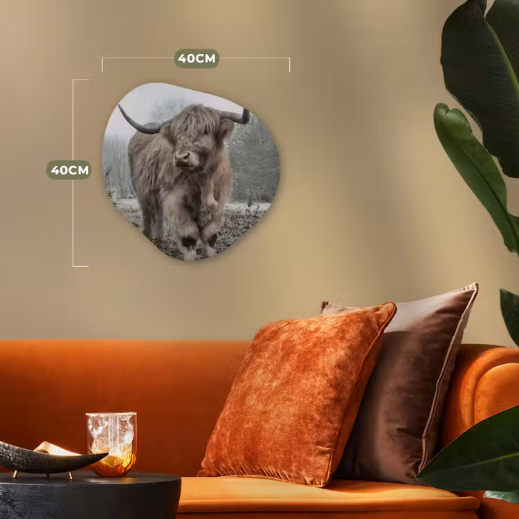 Schotse hooglander - Natuur - Herfst - Dieren - Wild - Bos Wandcirkel Organisch Forex 3mm klein -sfeer3
