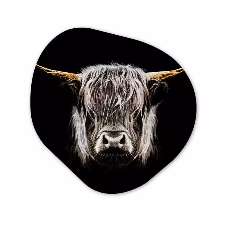 Schotse hooglander - Goud - Hoorns - Zwart wit - Koe - Dieren Wandcirkel Organisch Forex 3mm klein -3d