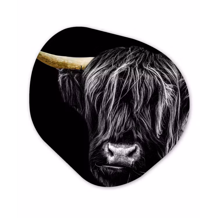 Schotse hooglander - Goud - Vacht - Dieren - Koe Wandcirkel Organisch Forex 3mm klein -3d