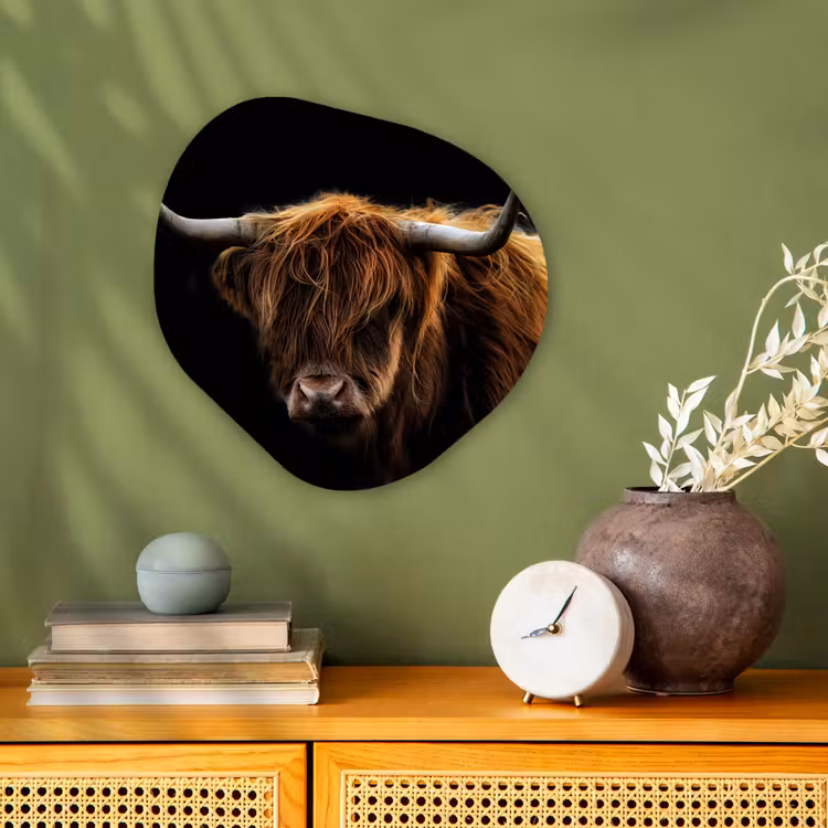 Schotse Hooglander - Horens - Zwart - Dieren - Natuur - Wild - Koe Wandcirkel Organisch Forex 3mm klein -sfeer2