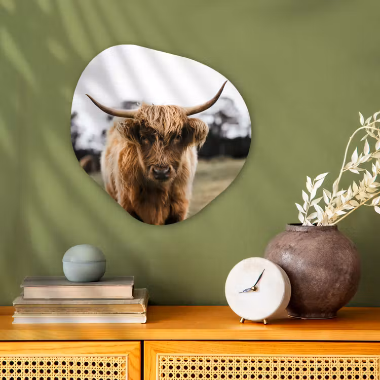 Schotse Hooglander - Koe - Gras - Dieren - Natuur Wandcirkel Organisch Forex 3mm klein -sfeer2