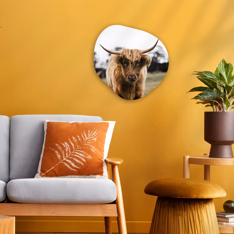 Schotse Hooglander - Koe - Gras - Dieren - Natuur Wandcirkel Organisch Forex 3mm klein -sfeer4