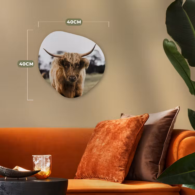 Schotse Hooglander - Koe - Gras - Dieren - Natuur Wandcirkel Organisch Forex 3mm klein -sfeer3