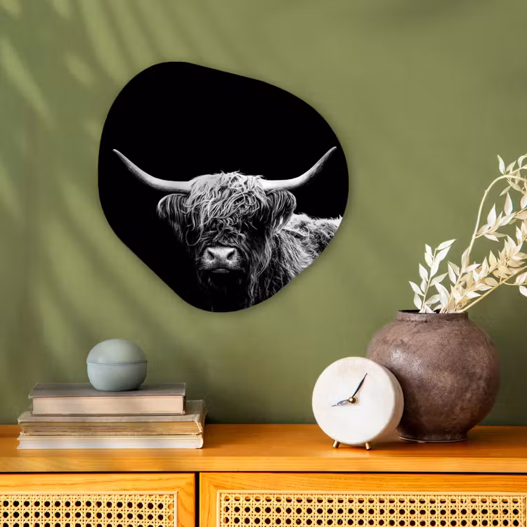 Schotse Hooglander - Koe - Zwart - Wit - Dieren Wandcirkel Organisch Forex 3mm klein -sfeer2