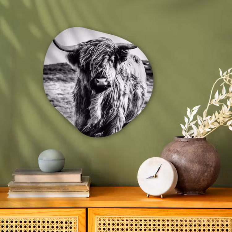 Schotse hooglander - Natuur - Koe - Zwart - Wit Wandcirkel Organisch Forex 3mm klein -sfeer2