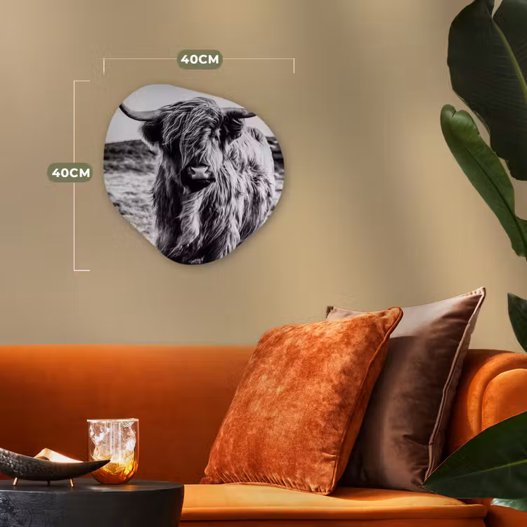 Schotse hooglander - Natuur - Koe - Zwart - Wit Wandcirkel Organisch Forex 3mm klein -sfeer3