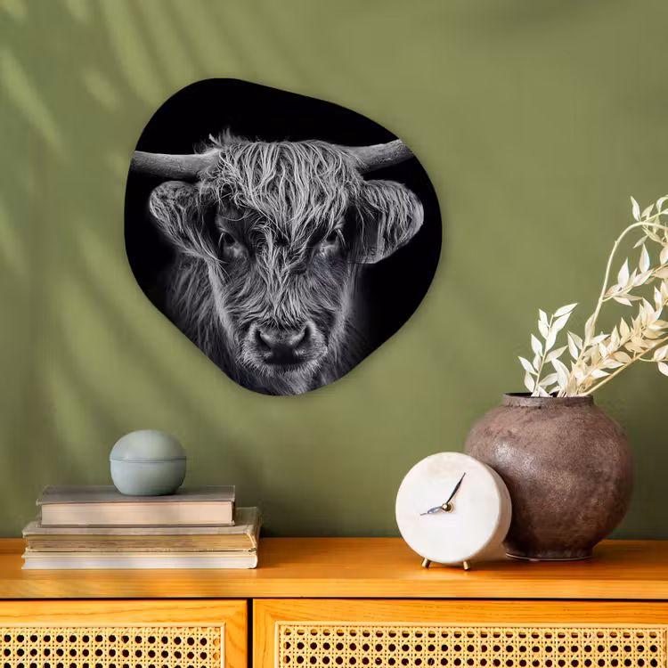 Schotse hooglander - Zwart - Koe - Dieren Wandcirkel Organisch Forex 3mm klein -sfeer2