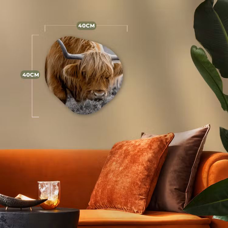 Schotse Hooglander - Dieren - Bruin - Koe - Zwart - Wit - Natuur Wandcirkel Organisch Forex 3mm klein -sfeer3