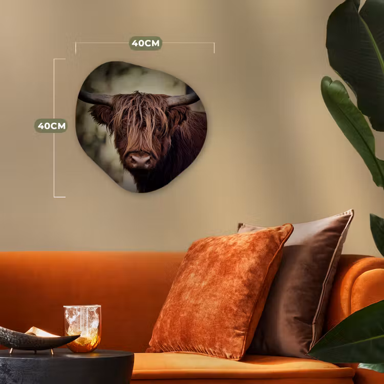Schotse hooglander - Licht - Portret - Natuur Wandcirkel Organisch Forex 3mm klein -sfeer3