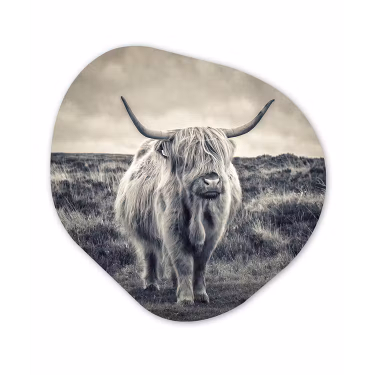 Schotse hooglander - Dieren - Wolken - Koe - Natuur Wandcirkel Organisch Forex 3mm klein -3d