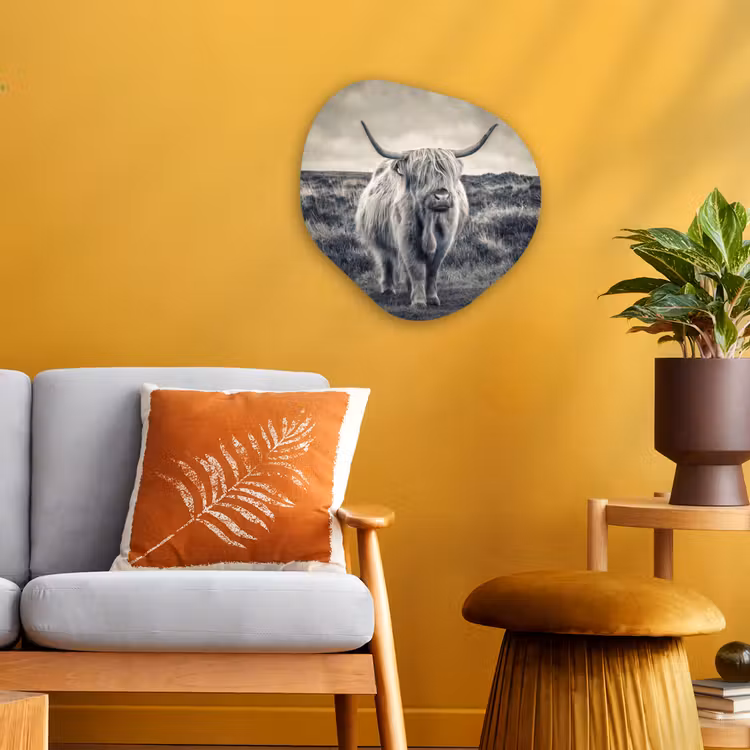Schotse hooglander - Dieren - Wolken - Koe - Natuur Wandcirkel Organisch Forex 3mm klein -sfeer4