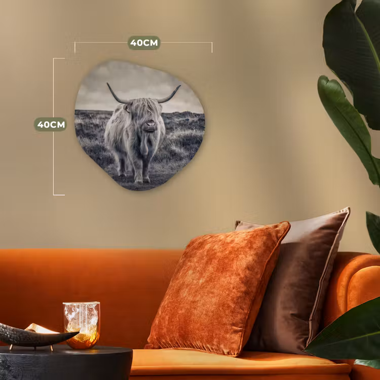 Schotse hooglander - Dieren - Wolken - Koe - Natuur Wandcirkel Organisch Forex 3mm klein -sfeer3