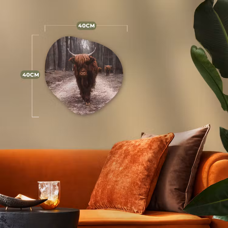 Schotse hooglander - Bos - Koe - Dieren - Natuur Wandcirkel Organisch Forex 3mm klein -sfeer3