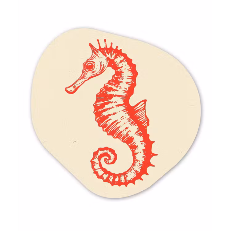 Zeepaardje - Rood - Fijne details Wandcirkel Organisch Forex 3mm klein -3d