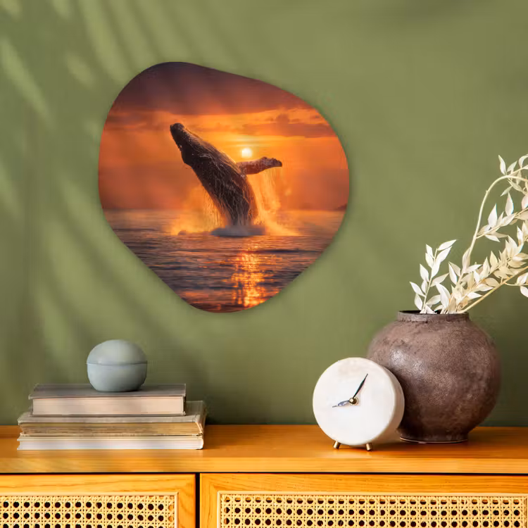 Walvis - Zon - Zee Wandcirkel Organisch Forex 3mm klein -sfeer2