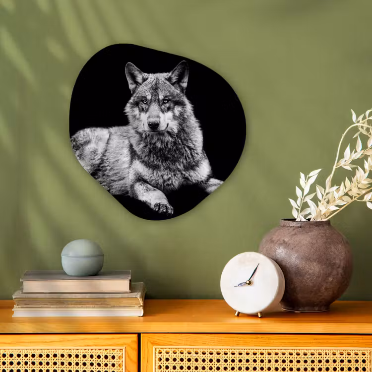 Wilde dieren - Wolf - Zwart - Wit Wandcirkel Organisch Forex 3mm klein -sfeer2