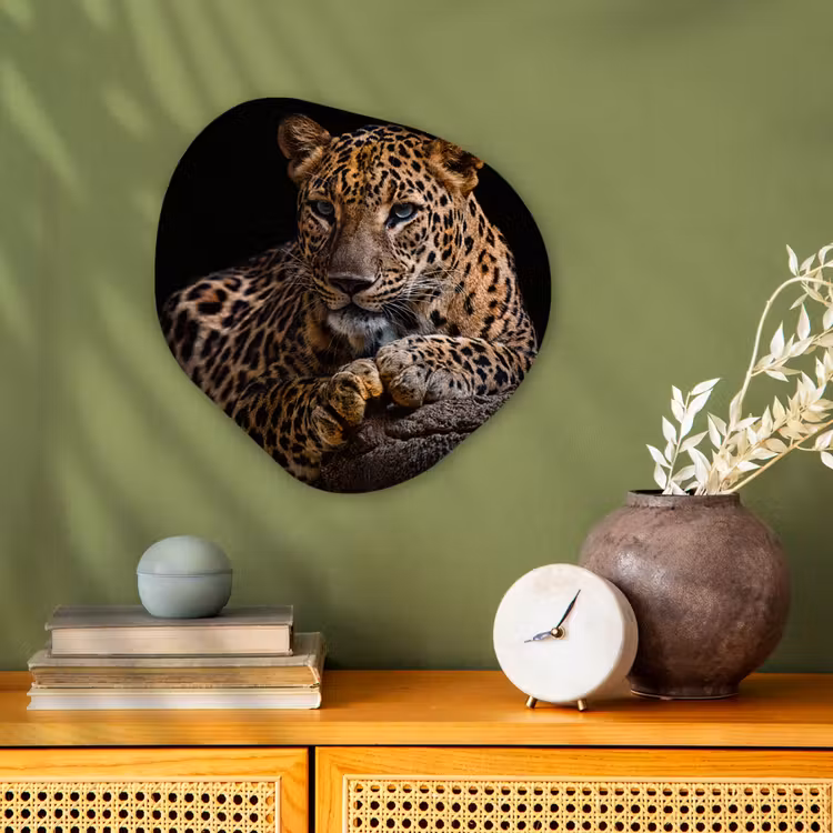 Wilde dieren - Panter - Portret - Zwart - Dieren Wandcirkel Organisch Forex 3mm klein -sfeer2