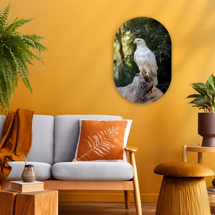 Arend - Hout - Wit - Planten Wandcirkel Ovaal Forex klein -sfeer4