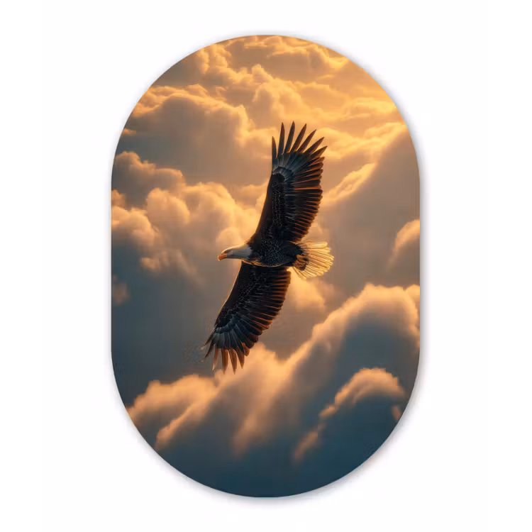 Adelaar - Wolken - Zon Wandcirkel Ovaal Forex klein -3d