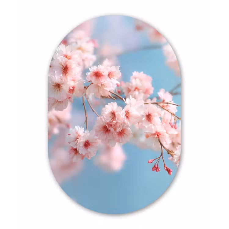 Takken - Bloesems - Roze Wandcirkel Ovaal Forex klein -3d