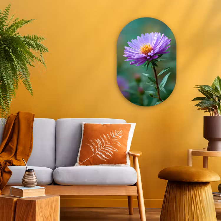 Aster - Paars - Bloem - Blaadjes Wandcirkel Ovaal Forex klein -sfeer4