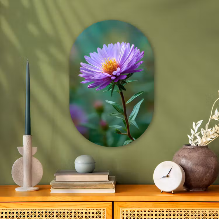 Aster - Paars - Bloem - Blaadjes Wandcirkel Ovaal Forex klein -sfeer2