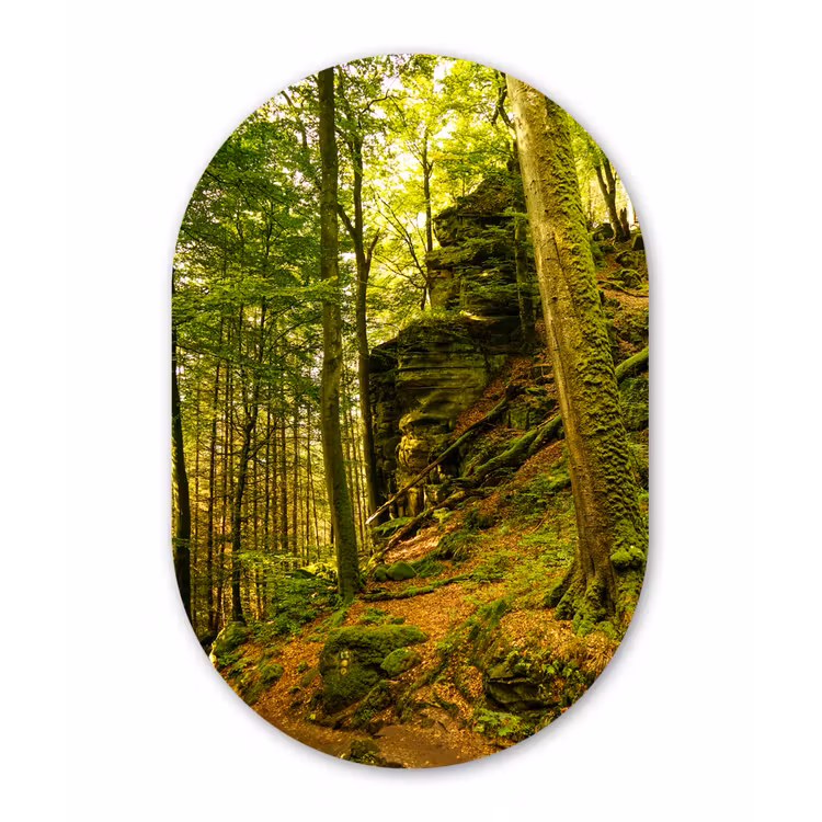 Bomen - Steen - Bos - Natuur - Planten Wandcirkel Ovaal Forex klein -3d