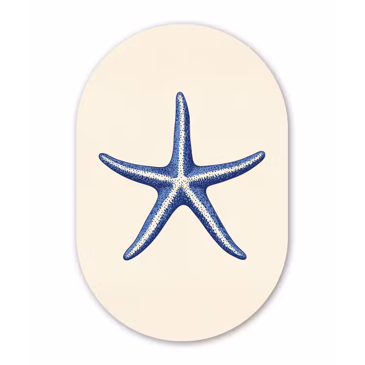 Blauwe zeester - Minimalistisch - Beige Wandcirkel Ovaal Forex klein -3d