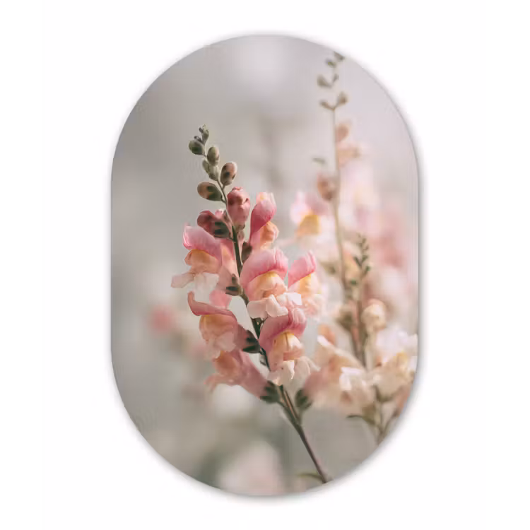Bloem - Leeuwenbek - Roze - Stengel Wandcirkel Ovaal Forex klein -3d
