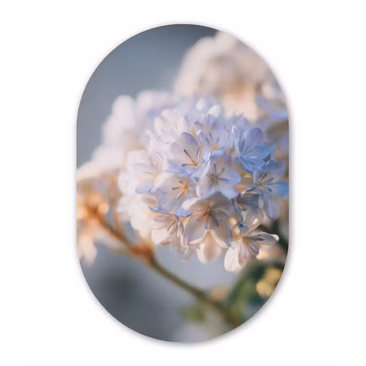 Bloemen - Lichtblauw - Wazig - Trosje Wandcirkel Ovaal Forex klein -3d