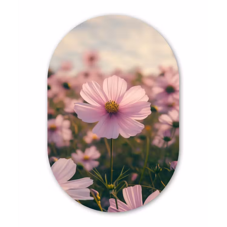 Bloemen - Paars - Wazig Wandcirkel Ovaal Forex klein -3d