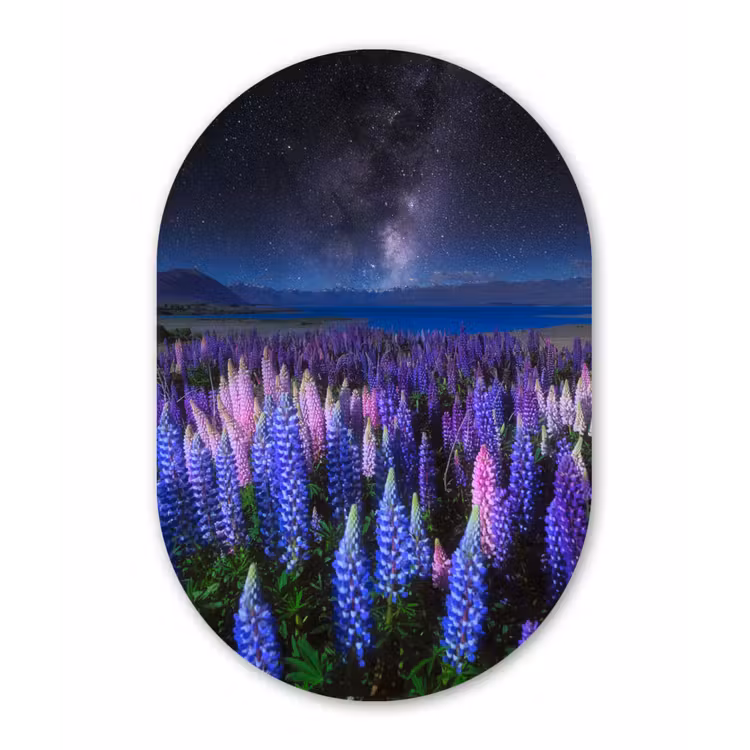 Bloemen - Nacht - Nieuw-Zeeland - Sterrenhemel - Paars Wandcirkel Ovaal Forex klein -3d