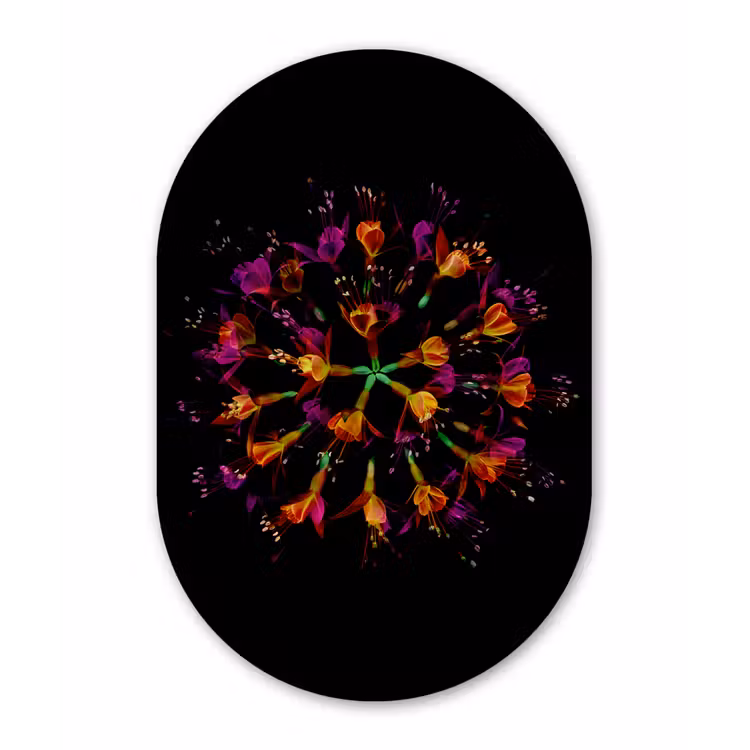 Bloemen - Oranje - Roze - Zwart Wandcirkel Ovaal Forex klein -3d