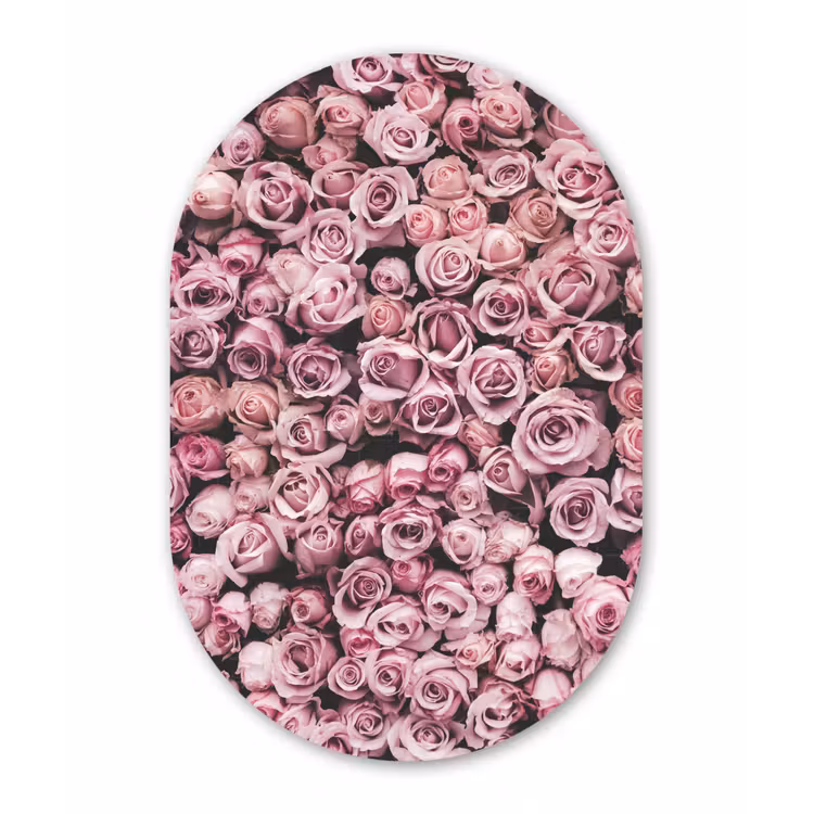 Bloemen - Rozen - Natuur - Roze - Botanisch Wandcirkel Ovaal Forex klein -3d