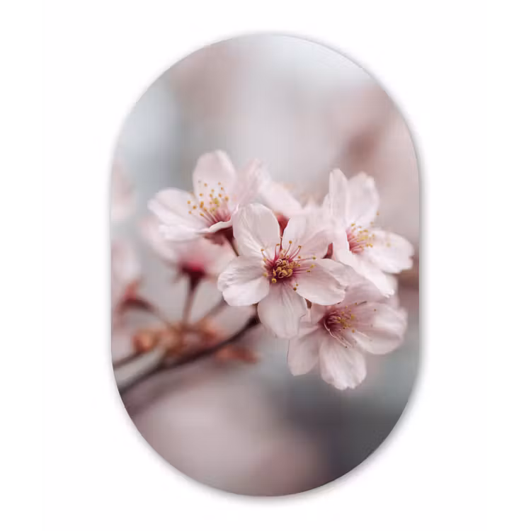 Bloesems - Meeldraden - Geel - Wazig Wandcirkel Ovaal Forex klein -3d