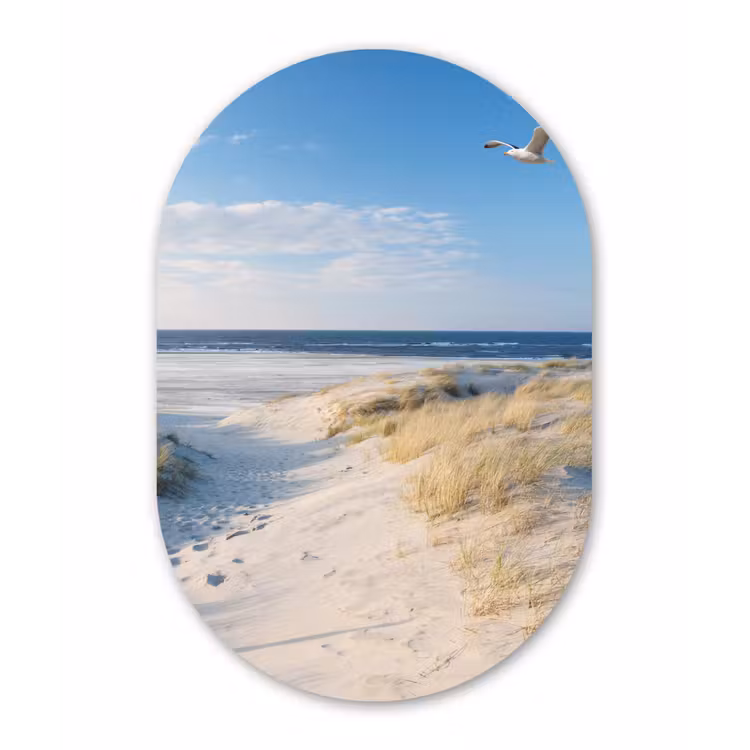Duin - Meeuw - Strand - Zee - Zon Wandcirkel Ovaal Forex klein -3d