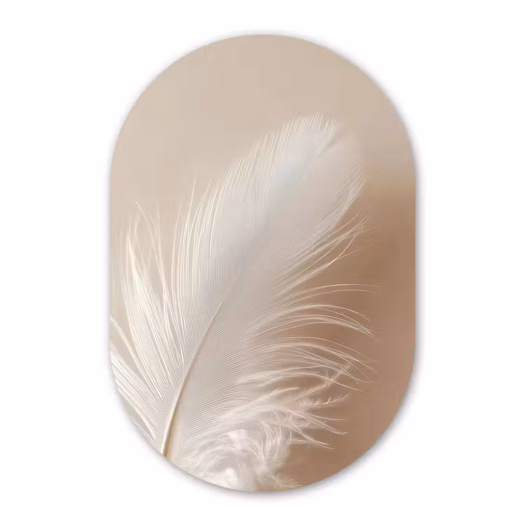 Veer - Minimalistisch - Roze Wandcirkel Ovaal Forex klein -3d