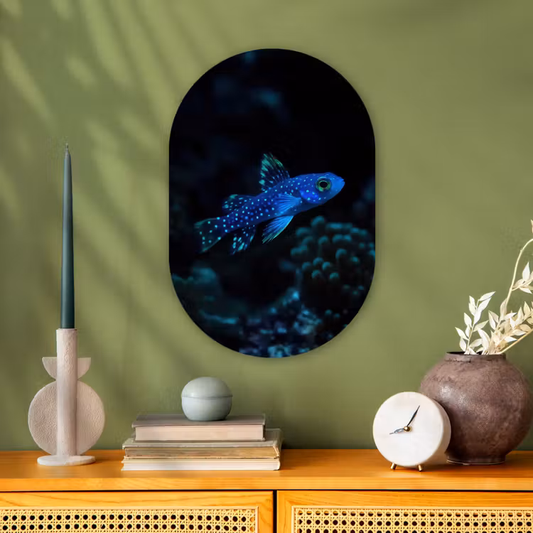Vis - Stippen - Koraal - Blauw Wandcirkel Ovaal Forex klein -sfeer2